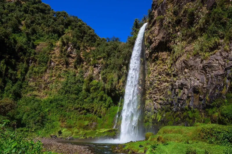 Beautiful:8ftoch28_Ma= Ecuador