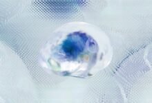 commercial intelligence navigation matrix