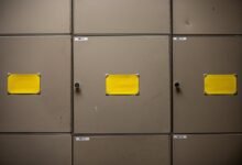 industry environmental scan report